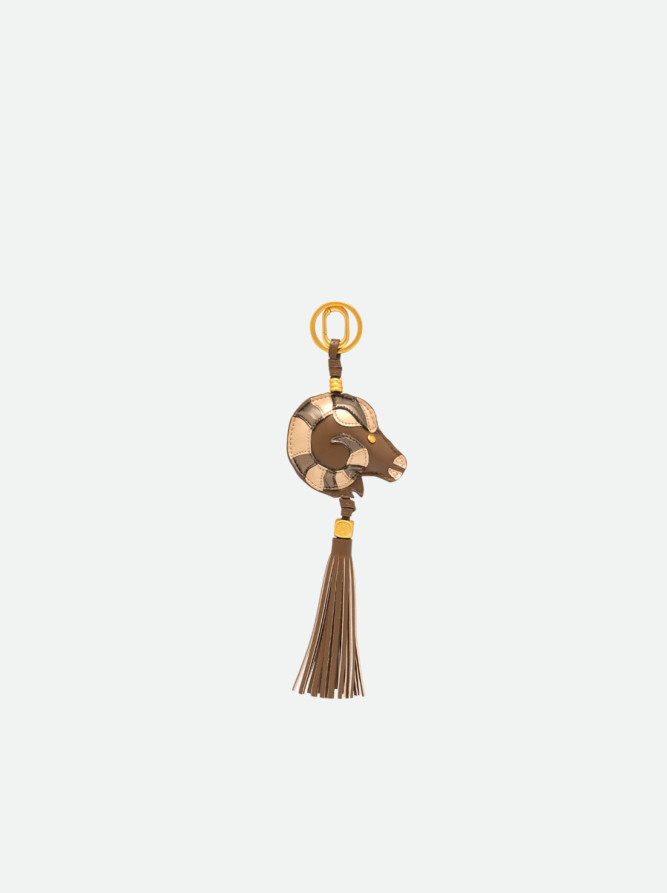 CHARM
