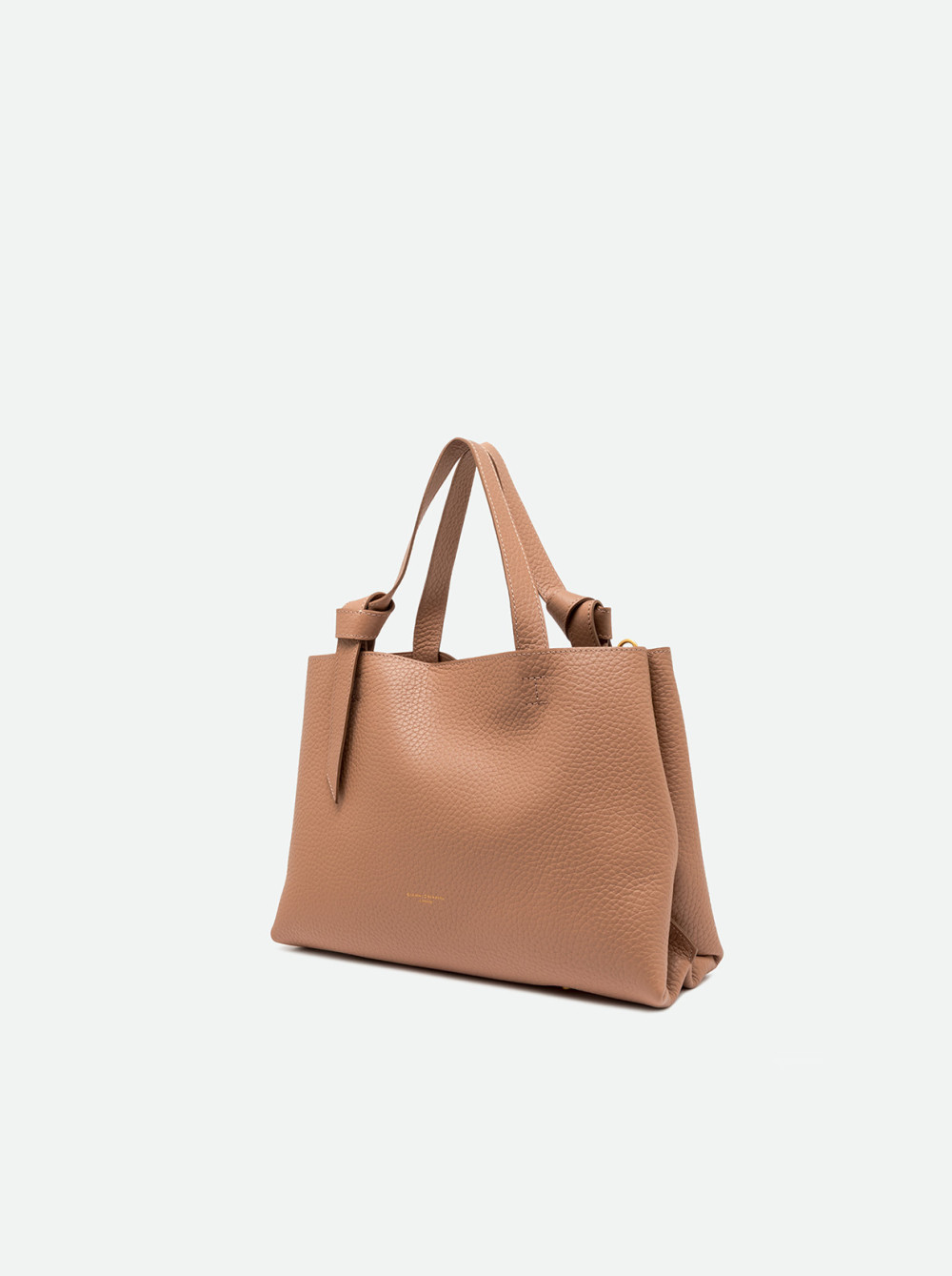 GIANNI CHIARINI: AMIRA