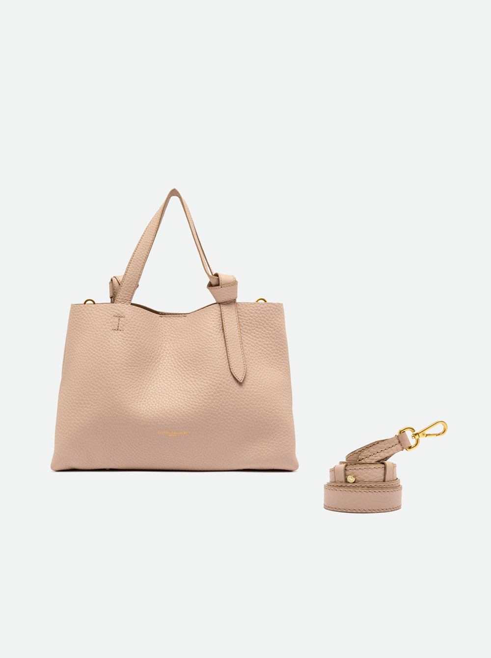 GIANNI CHIARINI: AMIRA