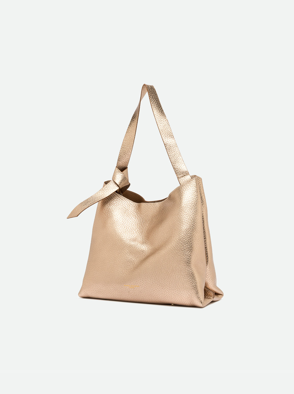 GIANNI CHIARINI: AMIRA