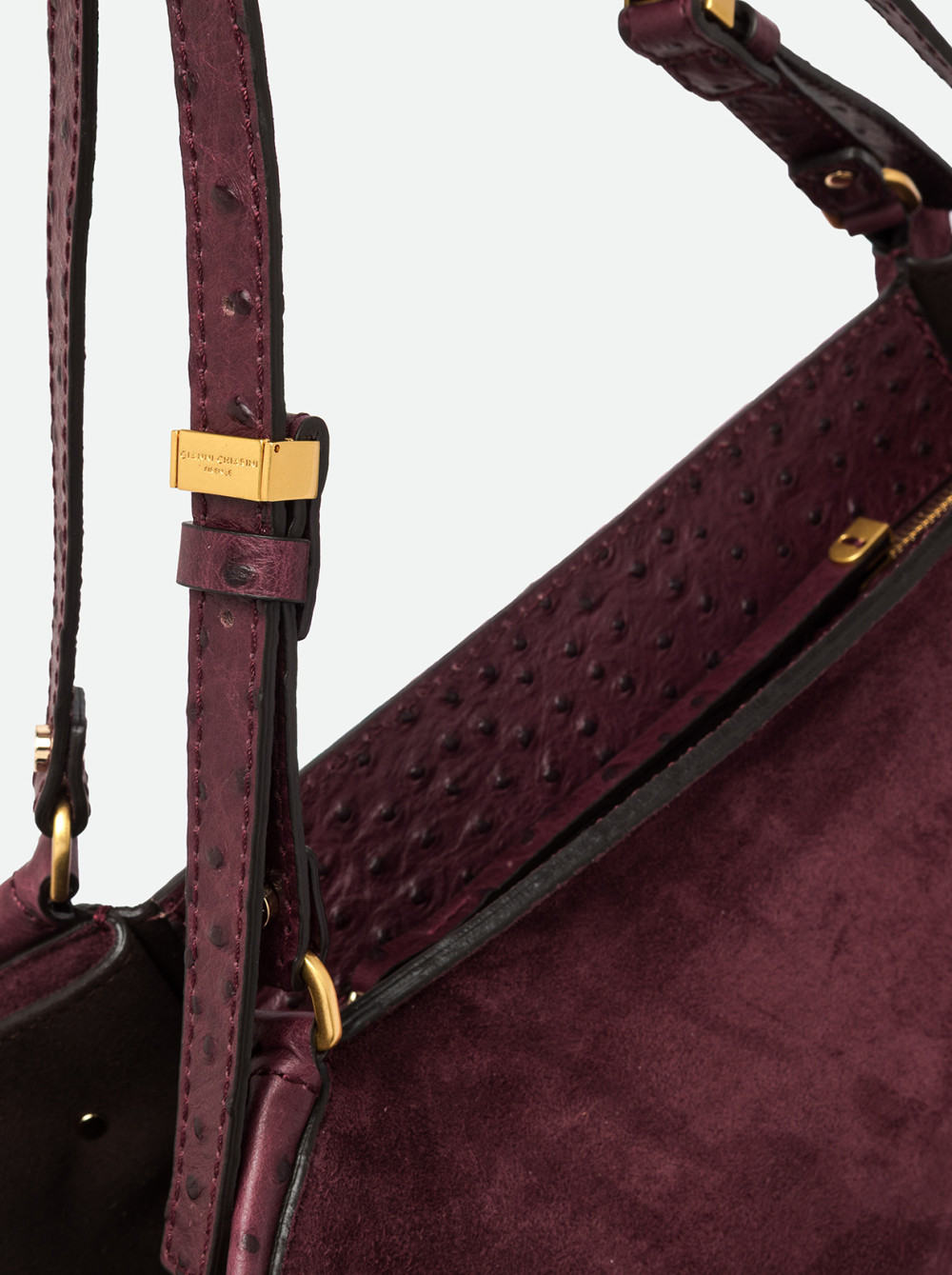 GIANNI CHIARINI: BLOOM