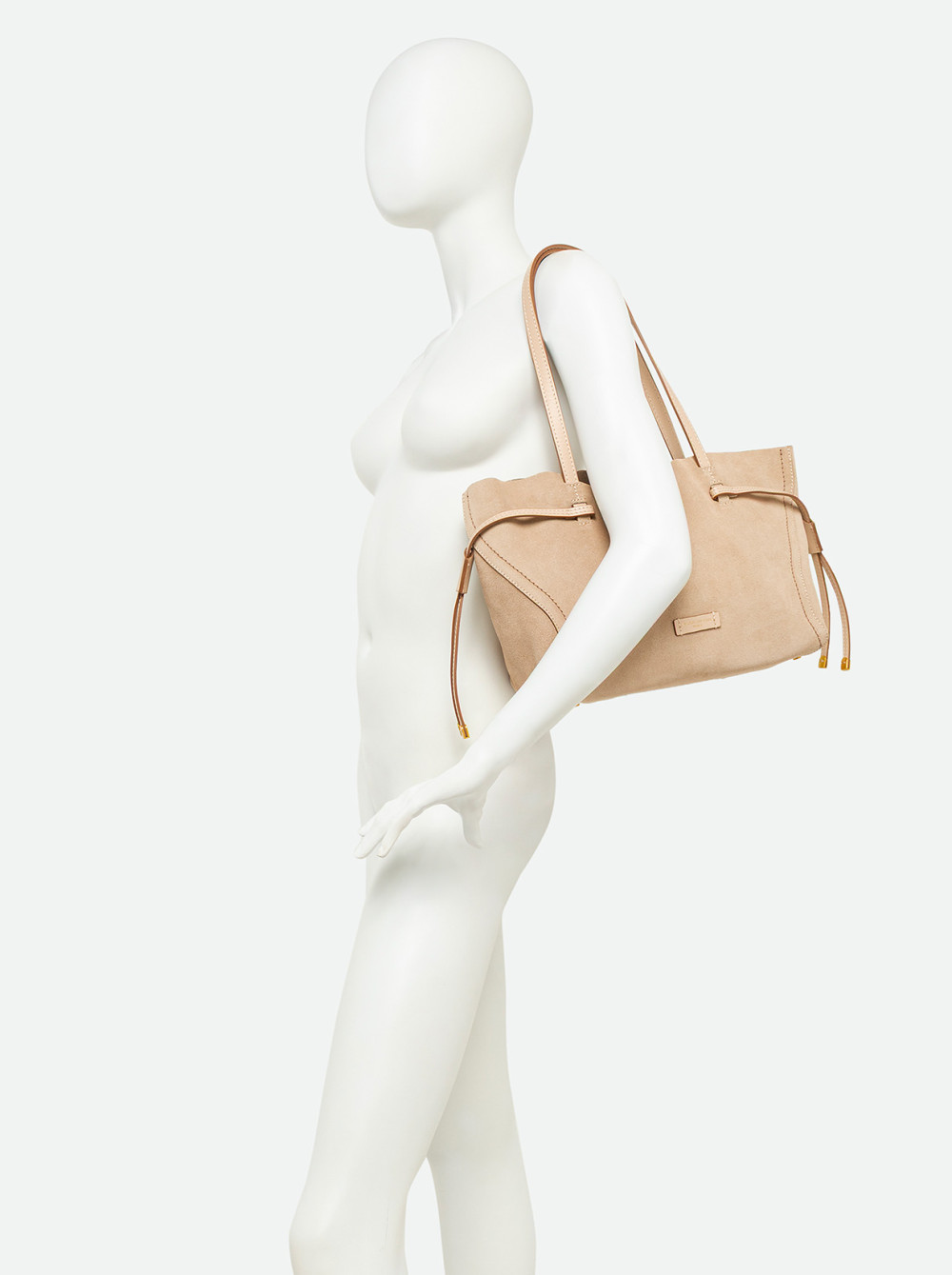 GIANNI CHIARINI: VIOLETTE