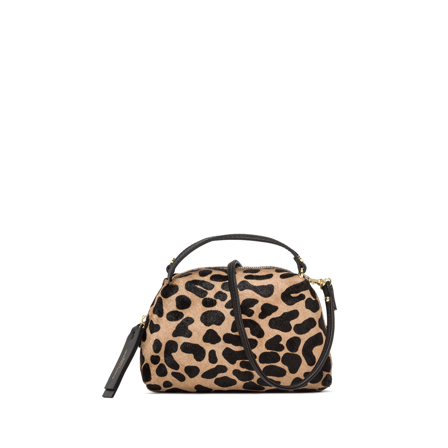 GIANNI CHIARINI ALIFA BS 8145 CAV-PL-11865