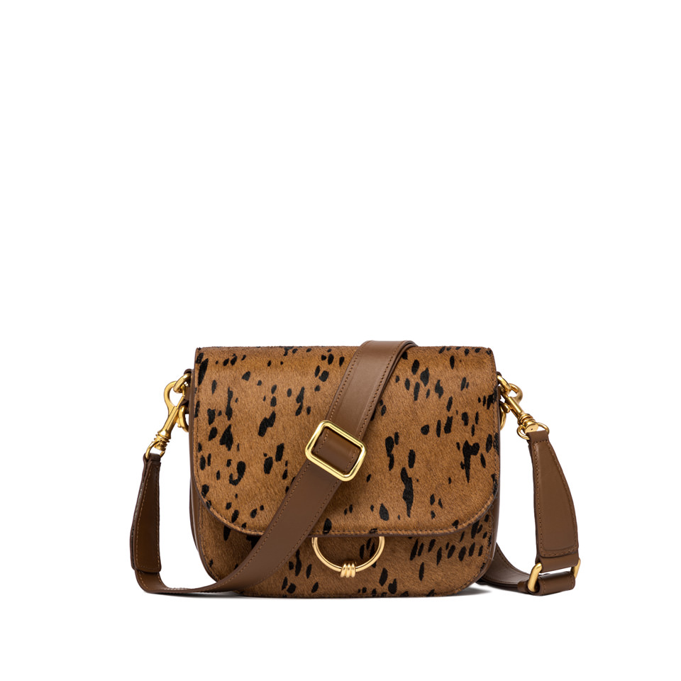 GIANNI CHIARINI: MEG