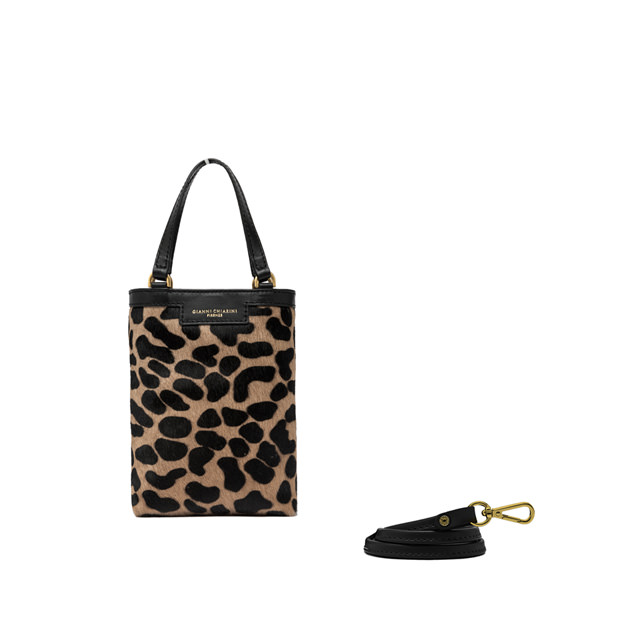 GIANNI CHIARINI: DUA