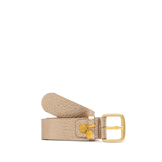 GIANNI CHIARINI: CHARM